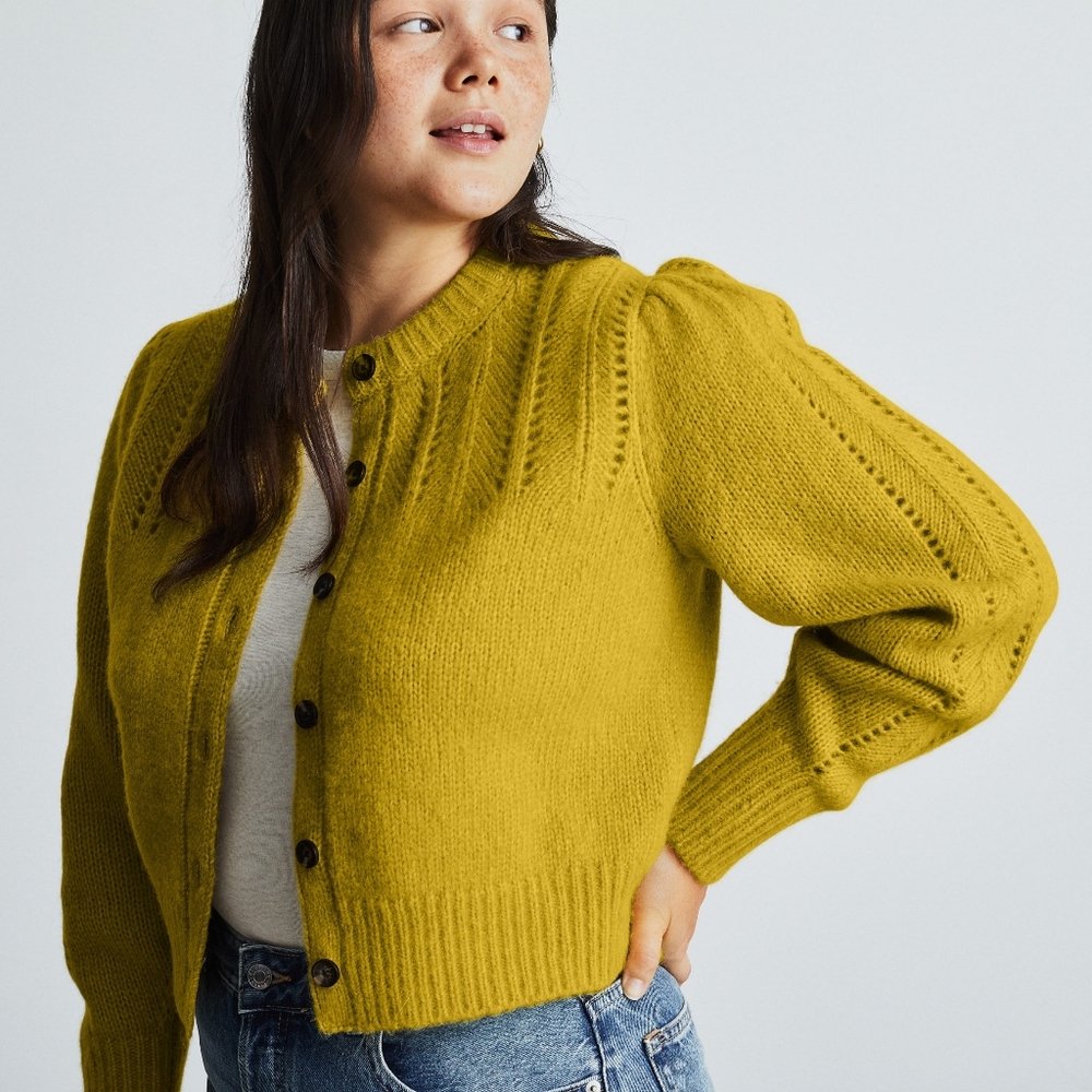 Everlane Cloud Cardigan XS